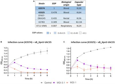 Molecular studies of phages-Klebsiella pneumoniae in mucoid environment: innovative use of mucolytic agents prior to the administration of lytic phages